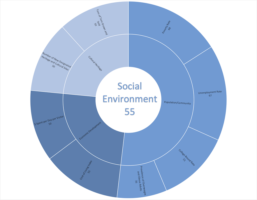 Social Environment Indicators